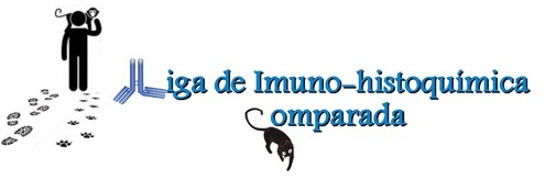 Liga de IHQ comparada 2018